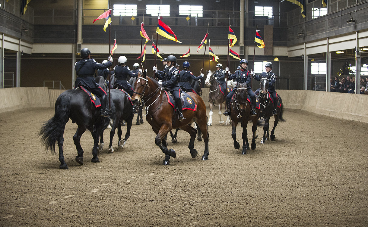 Officers on horseback