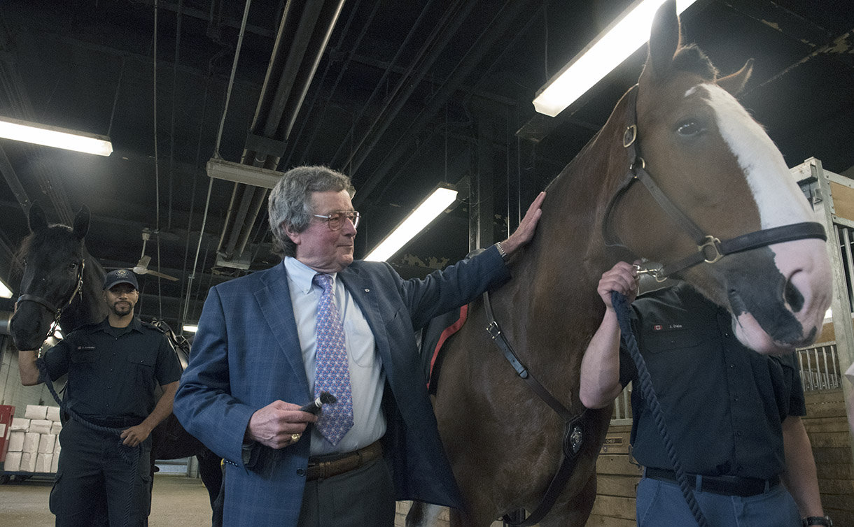 Man in a suit pets a horse inside the stables