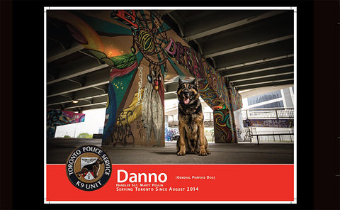 A photo of a dog in an underpass
