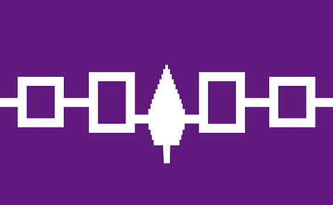Four white rectangles on a purple background, two on each side  flanking a symbolized pine tree, all connected with a white line